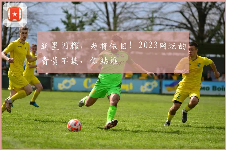 新星闪耀，老将依旧！2023网坛的青黄不接，你站谁
