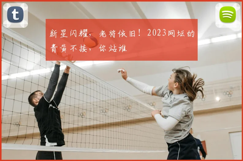 新星闪耀，老将依旧！2023网坛的青黄不接，你站谁